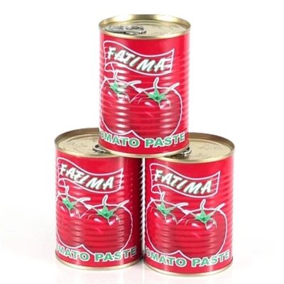 What Does Canned Tomato Paste Means?