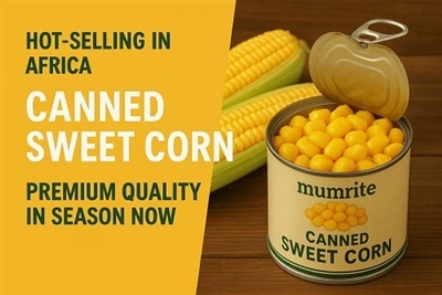 Harvest Season Special – Stock Up On High-Quality Canned Sweet Corn