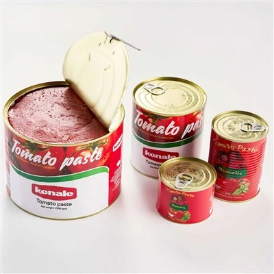 Double Concentrate Canned Tomato Paste