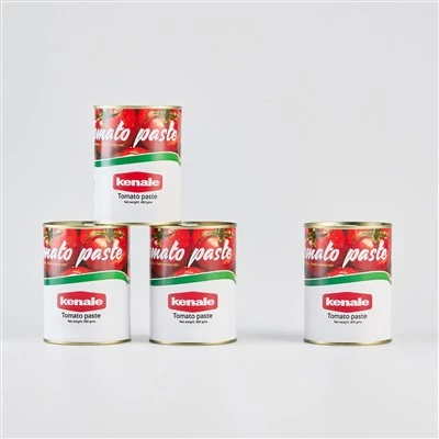 Tomato Paste 400g
